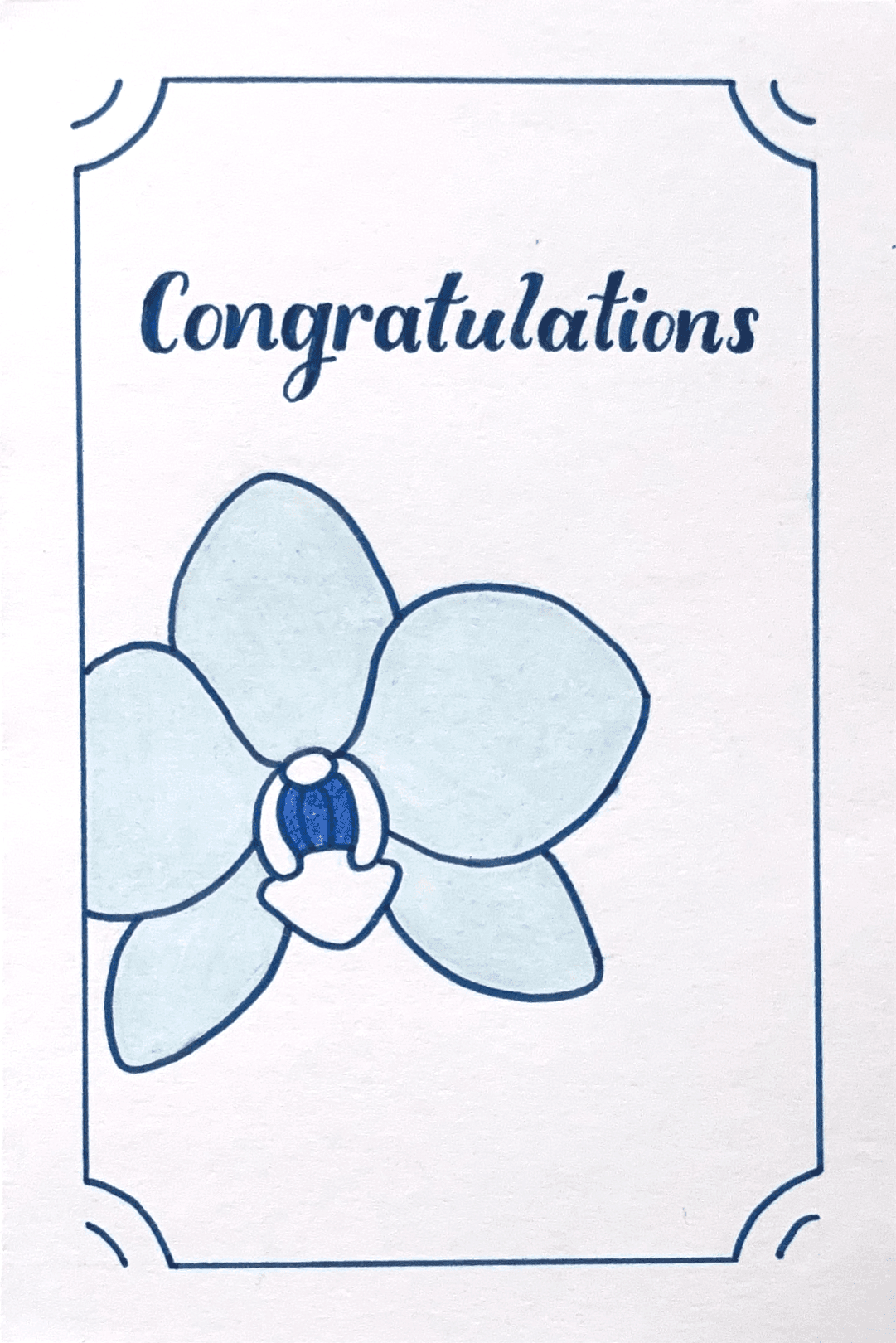 Congratulations - Bloom