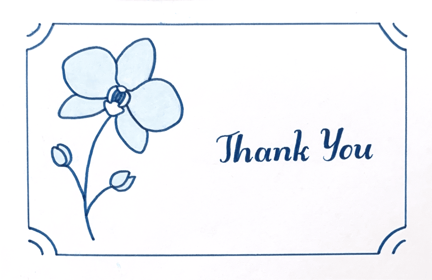 Thank You - Stem
